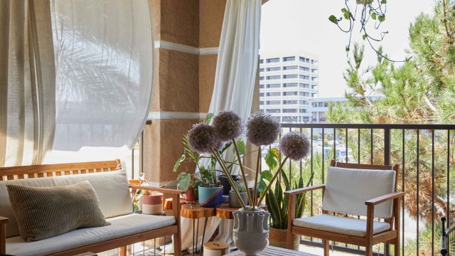 Costco's New UV-Blocking Sun Shade: An Affordable Outdoor Essential