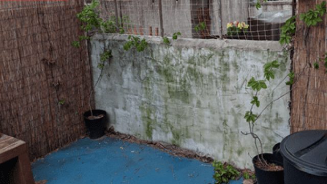 Transforming Outdoor Spaces: Innovative Solutions for Patio Safety