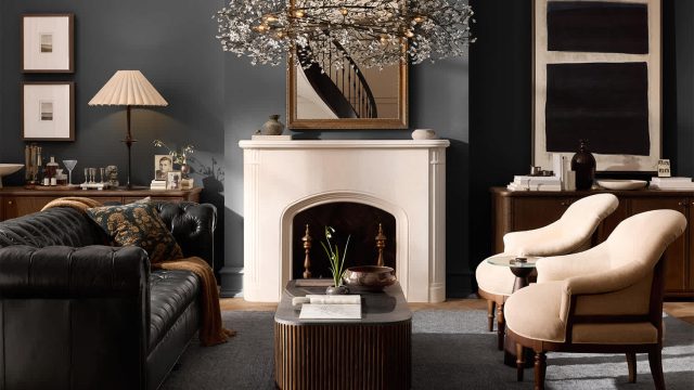 Discover the Latest Trends in 