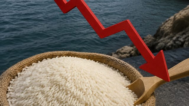 Impact of Hormuz Closure: Basmati Prices Decline Significantly | qq888bet, joker 268 slot, bonusqq c