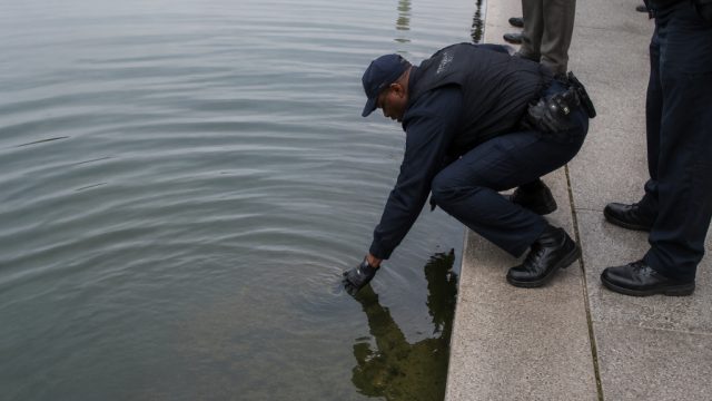 An Unexpected Discovery in the Reflecting Pool Raises Concerns | dewa bandar qq, biggest online casi