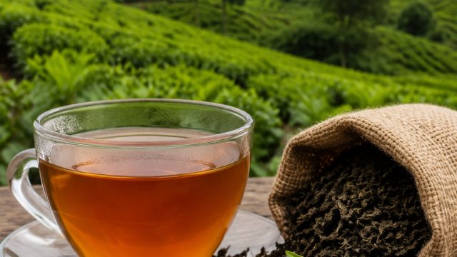 Norben Tea Achieves Upper Circuit Milestone Amid Rising Demand | online casino games, nexus engine s